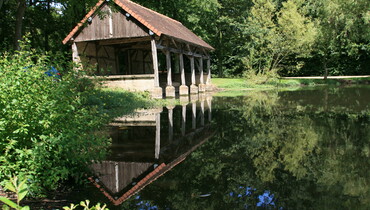 Maraye 20090726_Marc_9985.JPG