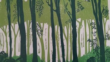 Profondeur en vert.jpg