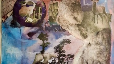 collage.jpg