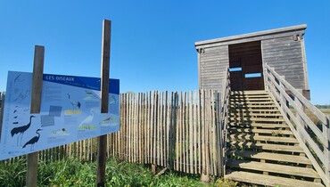 Zone humide Davrey CP Tabéa Posteaux (24).jpg