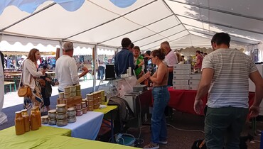 foire aux vins 2025 - CP B Collombet (4).jpg