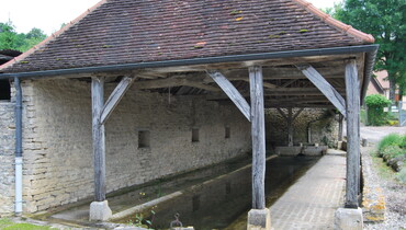 Crédit Photo Ambre Cnudde(2).JPG