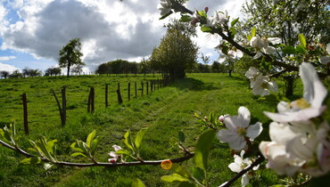 Ferme des Charmes.JPG