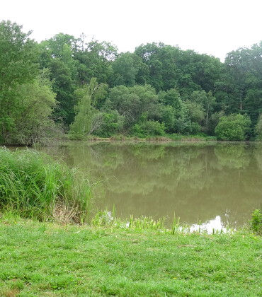 Etang de Marolles-sous-Lignières.JPG