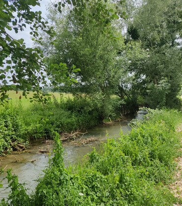 Zone humide CP Katell Fradet.jpg