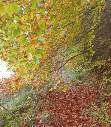 Bérulle CP Tabéa Posteaux (38).jpg