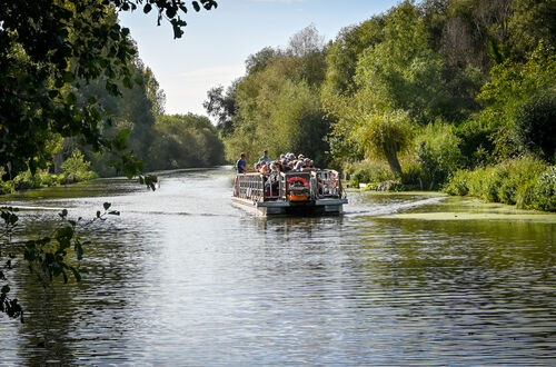 VISITE GUIDÉE | Marais en bateau & Réserve Naturelle du Romelaëre à pied (+/-2h30)