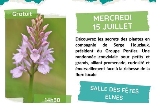 ACTIVITY | Botanical walk