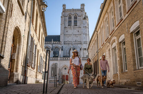 SEMAINE NATIONALE DU CHIEN | Visite guidée "Le St-O Express" avec mon chien