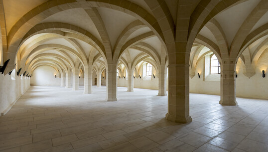 Abbaye cistercienne de Clairvaux - 0