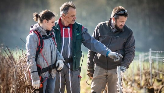 Champagne Binon Coquard - 0