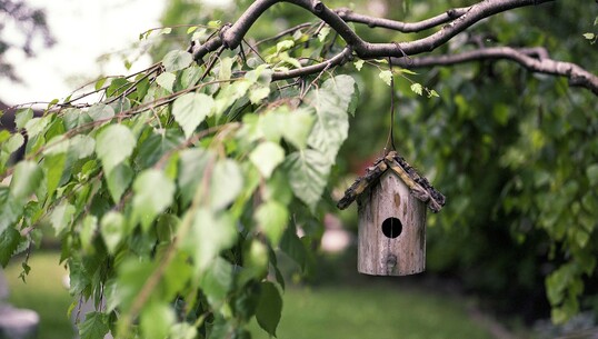 Atelier nature et bricolage - 0