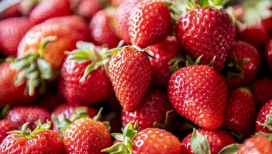 Fête de la fraise - 0