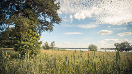 Le tour du lac Amance - 0