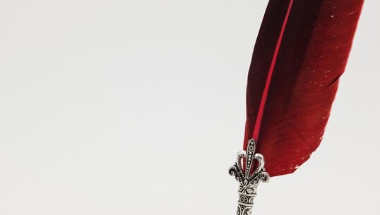 La dictée de Fuligny - 0