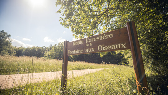 Circuit de la fontaine aux oiseaux - 0
