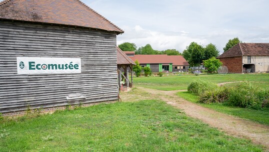 Le sentier des brebis - 0