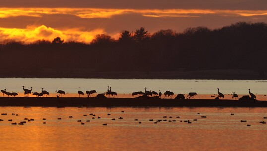 Bulles au crépuscule sur les lacs d’Orient - 0