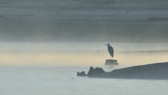 Le réveil des lacs d&rsquo;Orient - 0