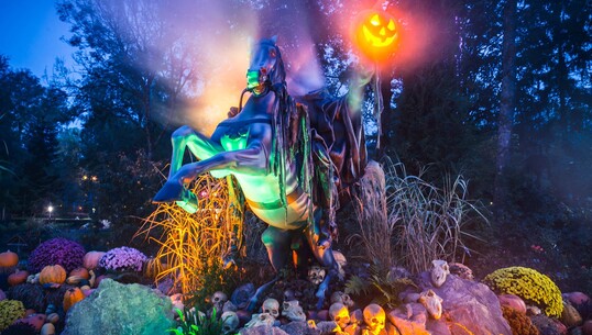 Nigloween 2025 - 0