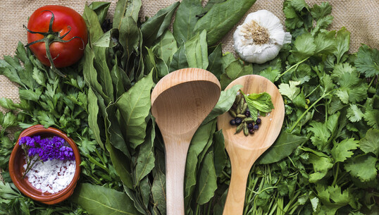 Cueillette et cuisine de plantes sauvages - 0