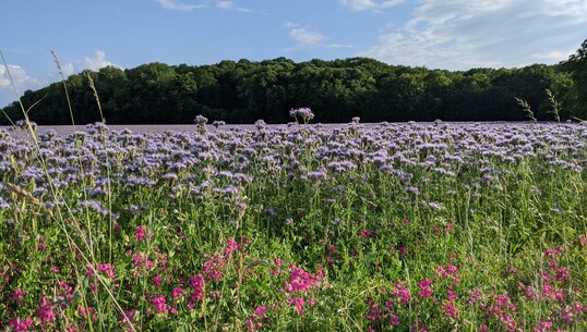 Promenade du bocage - 0