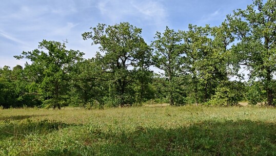 Le sentier des brebis - 0