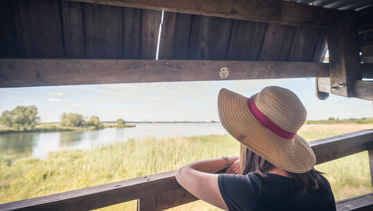 Observatoire du lac Amance - 0