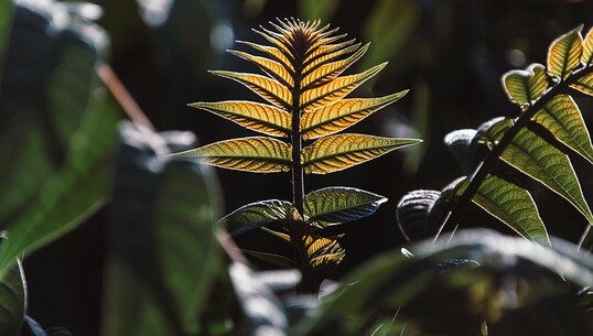 Balade d&rsquo;initiation - 0