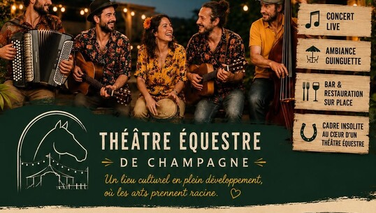Concert : Tata citronnelle - 0