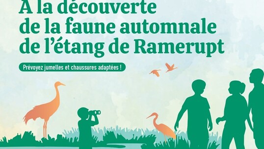 À la découverte de la faune automnale de l&rsquo;étang de Ramerupt - 0