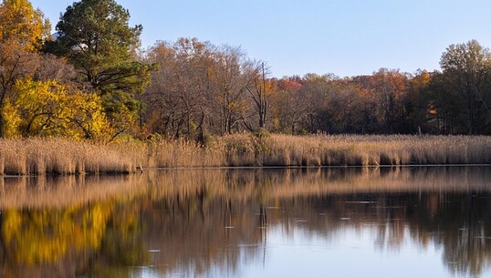 Animation nature : Au coeur de l’étang - 0