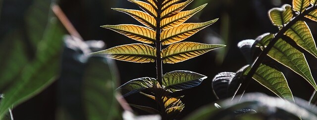 Balade d&rsquo;initiation - 0