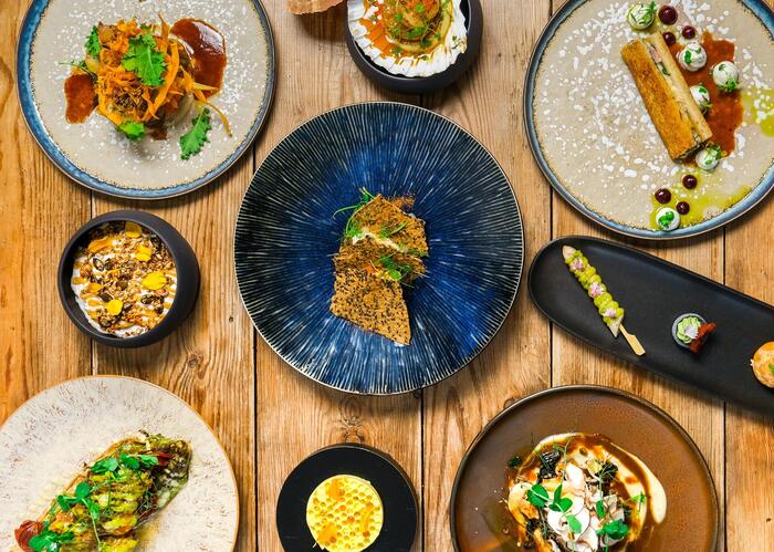 497020396_989761816641304_1427373781350040173_n © 