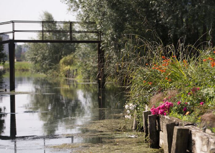 Marais Arbres Pont 2014 SAINT-OMER © Photo Carl