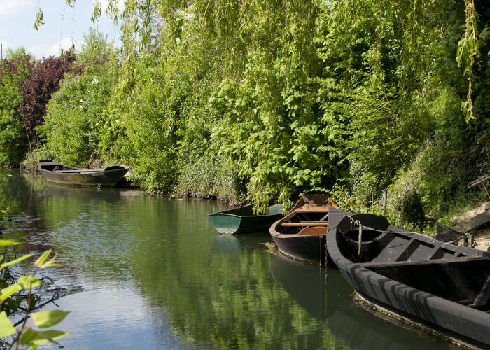 Marais Bacôve Arbres 2010 © © Photo Carl - Office de Tourisme de la Région de Saint-Omer