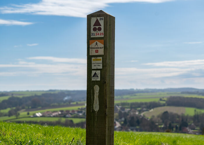 Balisage Trail - Coteaux de l'Aa 2024 © Quentin Maillard - Tourisme en Pays de Saint-Omer 