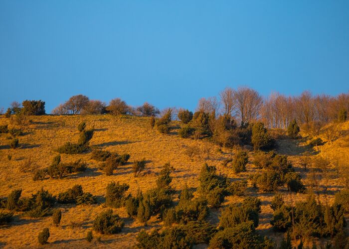 Coteaux de l'Aa - Wavrans-sur-l'Aa 2024 © Quentin Maillard - Tourisme en Pays de Saint-Omer 