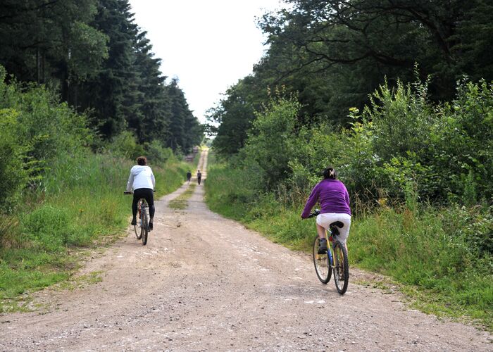 Forêt de Rihoult Vélo 2010 CLAIRMARAIS © Photo Carl - Office de Tourisme de la Région de Saint-Omer  (1) © © Photo Carl - Office de Tourisme de la Région de Saint-Omer