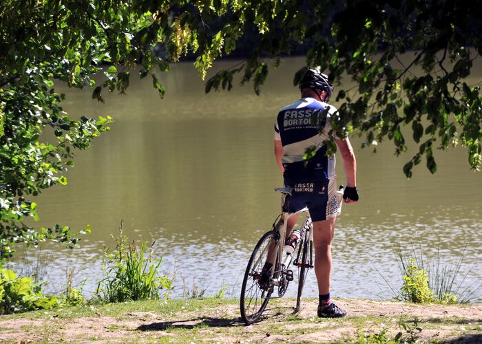 Forêt de Rihoult Vélo 2010 CLAIRMARAIS © Photo Carl - Office de Tourisme de la Région de Saint-Omer  (5) © © Photo Carl - Office de Tourisme de la Région de Saint-Omer