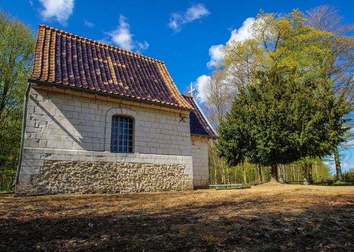 Forêt de TOURNEHEM-SUR-LA-HEM  © © P.Hudelle, Balades en audomarois