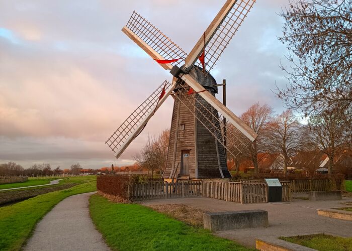 IMG_20260105_170020 © 