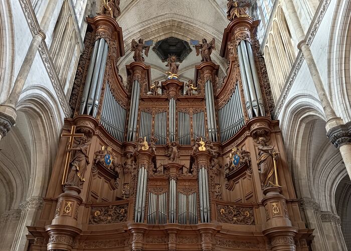 IMG_20260131_113504 © 