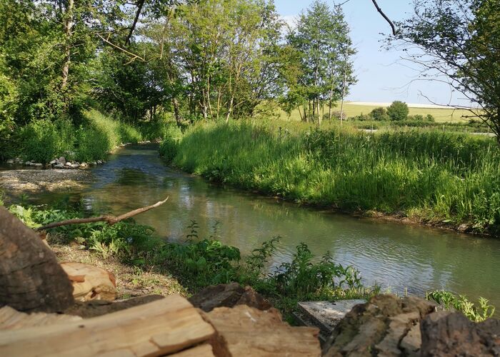 Jardin © Le Moulin d'Audenfort