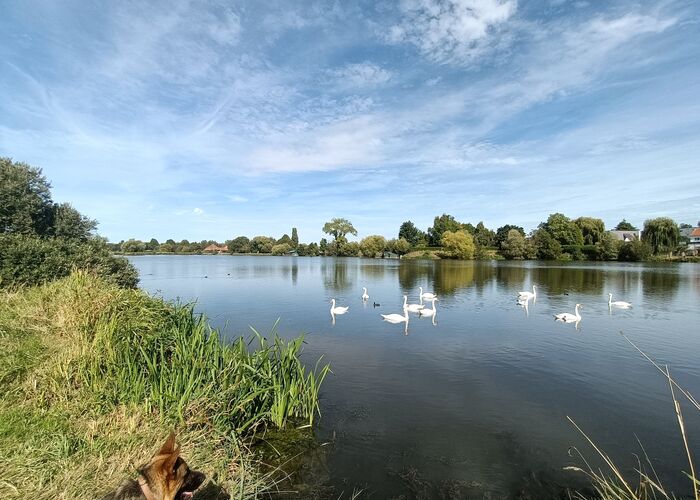 Etangs Beausejour © @CampingBeausejour