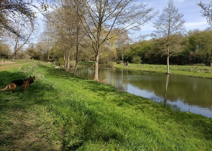 Petite promenade sur les bords des étangs Arc-en-Ciel  © @CampingBeausejour