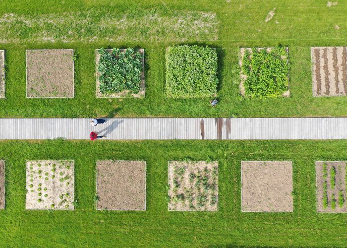 Jardin du Potager Conservatoire Couple © Tourisme en Pays de Saint-Omer