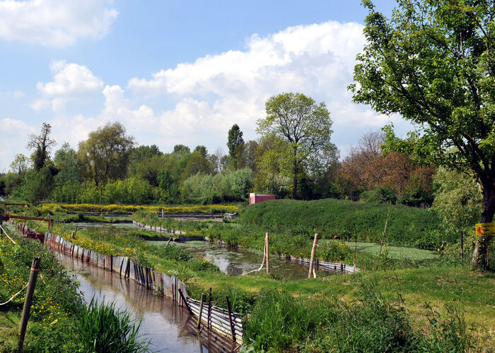 La Cressonnière de Tilques 2010 TILQUES  © Photo Carl - Tourisme en Pays de Saint-Omer