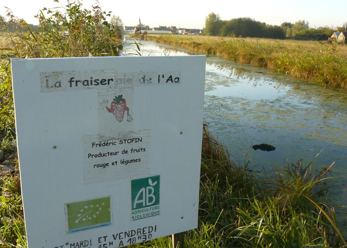 La Fraiseraie de l'Aa à CLAIRMARAIS © © SPL Tourisme en Pays de Saint-Omer