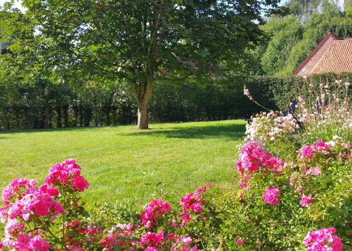 jardin © Noel